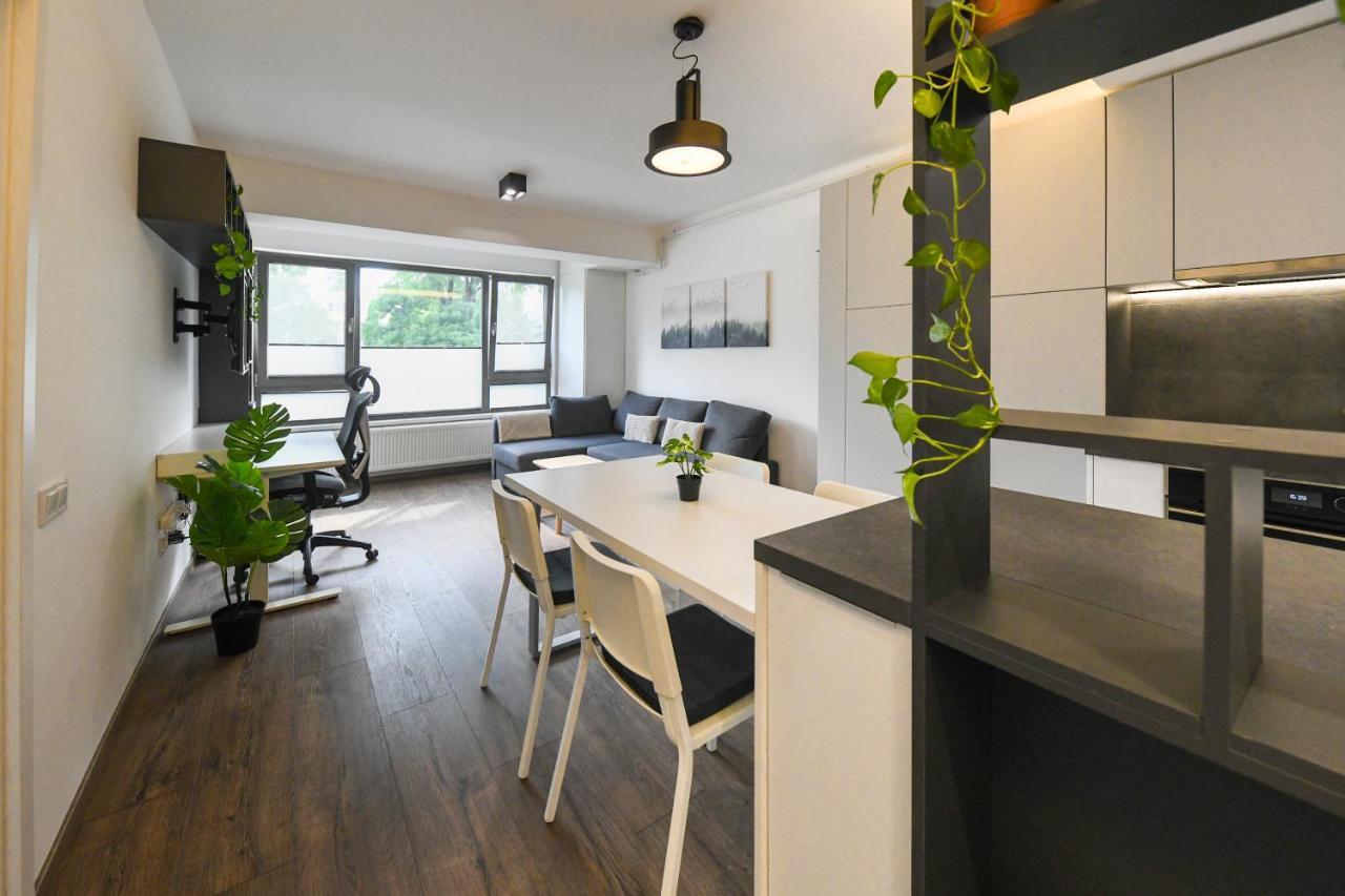 Modern Apartment In A Quiet Area كلوج-نابوكا المظهر الخارجي الصورة