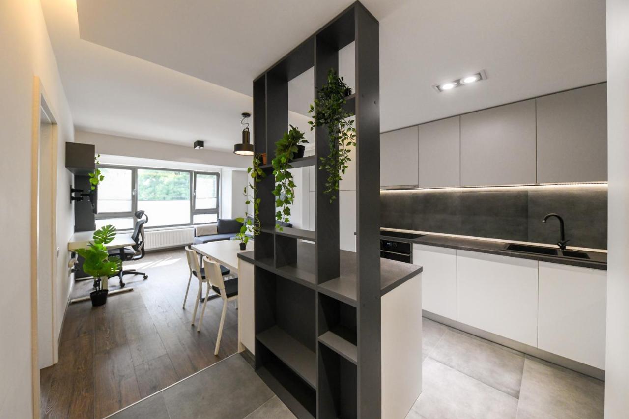 Modern Apartment In A Quiet Area كلوج-نابوكا المظهر الخارجي الصورة